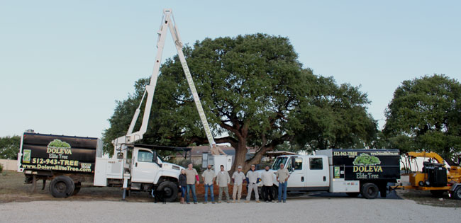 Hagan & Sons - Expert Tree Services in Carroll County, MD